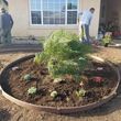 Photo #4: Landscaping Free Estimates Se Habla Español