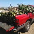 Photo #2: *N A V Y VETERAN-  HAUL AWAY TREE BRANCHES * YARD WASTE * JUNK *