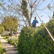 Photo #7: 9-1-1 landscaping/Tree S.V.C.
