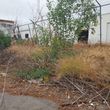 Photo #1: Commercial Landscaping