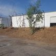 Photo #2: Commercial Landscaping