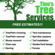 Photo #1: TINO'S TREE SERVICE