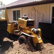 Photo #1: Stump removal service