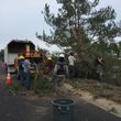 Photo #6: Gonzalez Brother's Tree Services