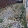Photo #10: ↘️Yard Clean up's Garden Maintenance↙️