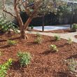 Photo #7: Awesome clean ups and Landscaping Maintenance check out our photos