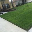 Photo #8: Awesome clean ups and Landscaping Maintenance check out our photos