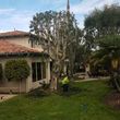 Photo #7: Tree removal and trimming