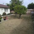 Photo #2: yard maintenance & landscaping services north county & sd cty