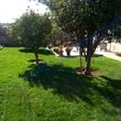 Photo #4: yard maintenance & landscaping services north county & sd cty
