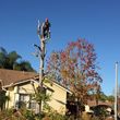 Photo #12: J & J Tree Service  & Landscaping. 🌳 Professional & Reliable