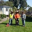 Photo #1: MAINTENANCE  ,CLEAN  UPS,IRRIGATION, TREE SERVICES,SODDING