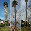 Photo #10: MAINTENANCE  ,CLEAN  UPS,IRRIGATION, TREE SERVICES,SODDING