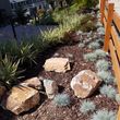 Photo #8: *****Mike&939;s Landscaping Installations and Design-see photos*****