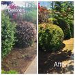 Photo #6: Landscape maintenance / Irrigation / Clean up