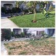 Photo #12: Landscape maintenance / Irrigation / Clean up