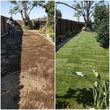 Photo #1: Saul's landscaping & maintenance