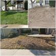 Photo #15: Saul's landscaping & maintenance