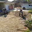 Photo #18: Saul's landscaping & maintenance
