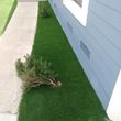 Photo #5: Turf, Retaining wall , Palm/Tree Trimming, Wood/vinyl Fencing