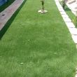 Photo #4: Turf, Retaining wall , Palm/Tree Trimming, Wood/vinyl Fencing