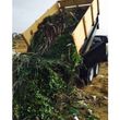 Photo #1: $$clean ups and yard service affordable prices $$