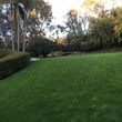 Photo #6: SYNTHETIC GRASS AND PUTTING GREENS