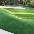 Photo #12: SYNTHETIC GRASS AND PUTTING GREENS