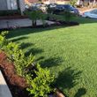 Photo #5: Sod, pavers, cement, turf & more!