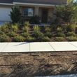 Photo #4: LANDSCAPE | TREEE SERVICES | IRRIGATION ETC !
