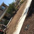 Photo #5: LANDSCAPE | TREEE SERVICES | IRRIGATION ETC !