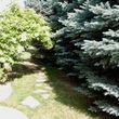 Photo #1: Lawn and Garden Maintenance