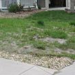 Photo #9: Rototilling/Gardens/Sod Why? Half the price to seed drought resistant.
