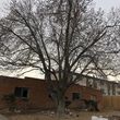 Photo #5: Tree Removal-General Outdoor Clean/up