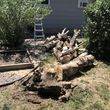 Photo #9: Tree Removal-General Outdoor Clean/up