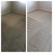 Photo #17: CARPET CLEANING SPECIALS : 60 DAY WARRANTY! : MONEY BACK GUARANTEE !