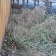 Photo #1: WEEDS/PROPERTY CLEANUP - GRADING  - FENCING - FREE ESTIMATES