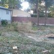 Photo #3: WEEDS/PROPERTY CLEANUP - GRADING  - FENCING - FREE ESTIMATES