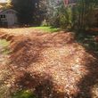 Photo #5: WEEDS/PROPERTY CLEANUP - GRADING  - FENCING - FREE ESTIMATES