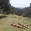 Photo #18: WEEDS/PROPERTY CLEANUP - GRADING  - FENCING - FREE ESTIMATES