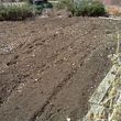 Photo #2: ROTOTILLING/ reasonable pricing