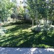 Photo #2: Yard and garden services