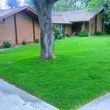 Photo #2: Sprinkler Service/ Repair / Blowouts And Lawn Aerations