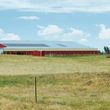 Photo #1: Full Care Horse Boarding & Riding Facility with Indoor/Outdoor Arenas
