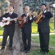 Photo #1: Music Entertainment -  Trio Fiesta - Music For all Occasions