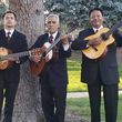Photo #2: Music Entertainment -  Trio Fiesta - Music For all Occasions