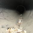 Photo #11: Air Duct Cleaning Services & Dryer Vent Cleaning Is Always Free