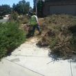 Photo #1: FENCES- ALL - LAWN - YARD -LANDSCAPING  PROPERTY MAINTENANCE" SERVICES