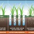 Photo #4: AERATION,FERTILIZER, SEED $79