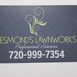 Photo #1: Desmond's Lawnwork's/AERATION